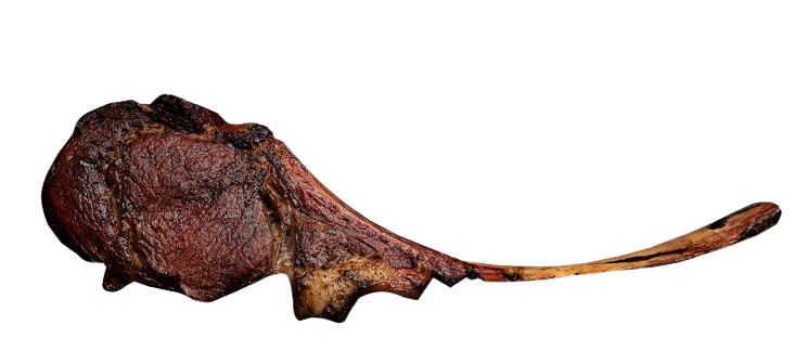 Tomahawk